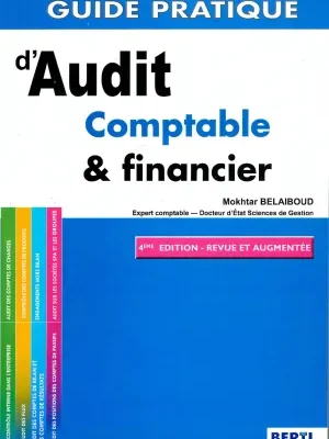 Guide pratique de l’Audit comptable & financier